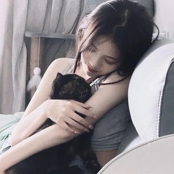 太极熊猫